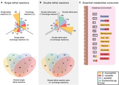 Understanding the Representative Gut Microbiota Dysbiosis in Metformin-Treated Type 2 Diabetes Patients Using Genome-Scale Metabolic Modeling